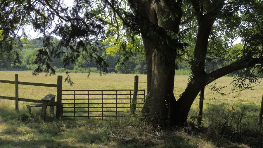 Finchcocks music museum and garden, Kent